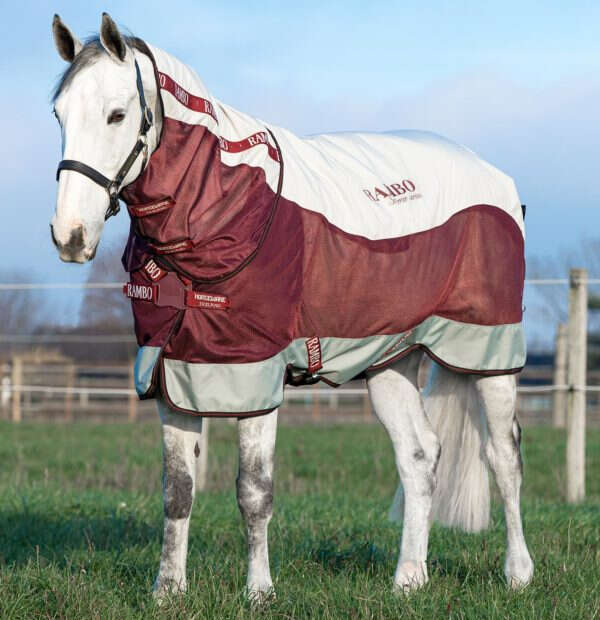 Horseware RAMBO Outdoordecke Übergang Summer Series